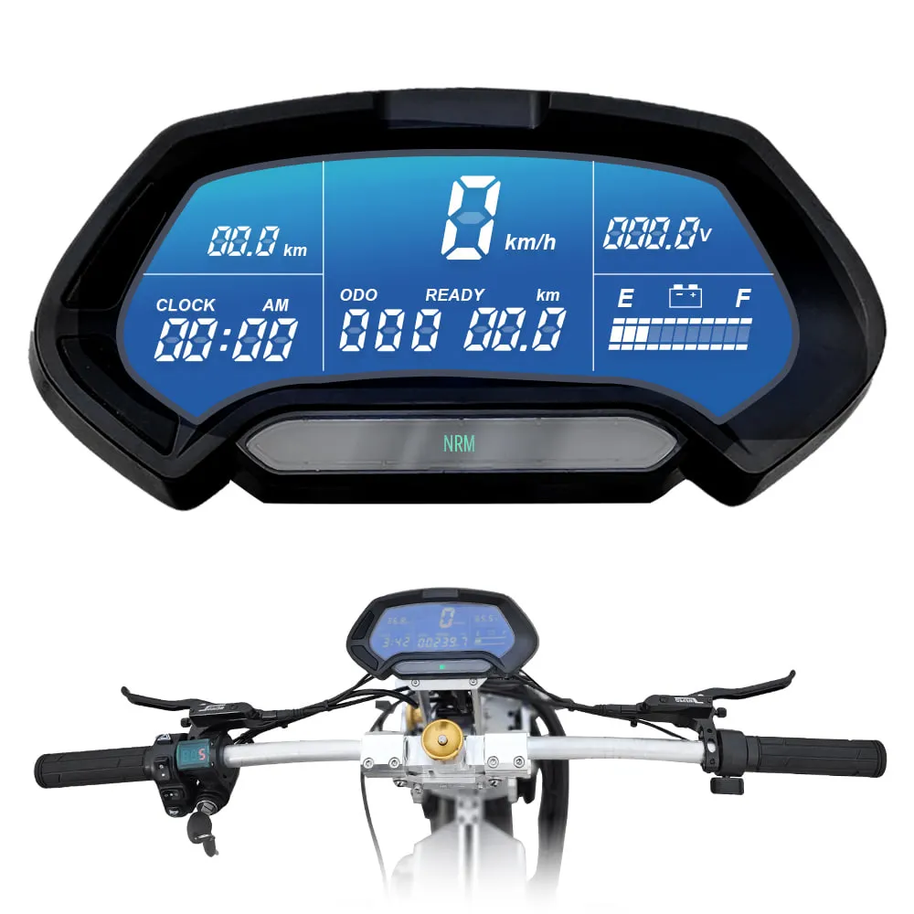 Weped E-Scooter Display